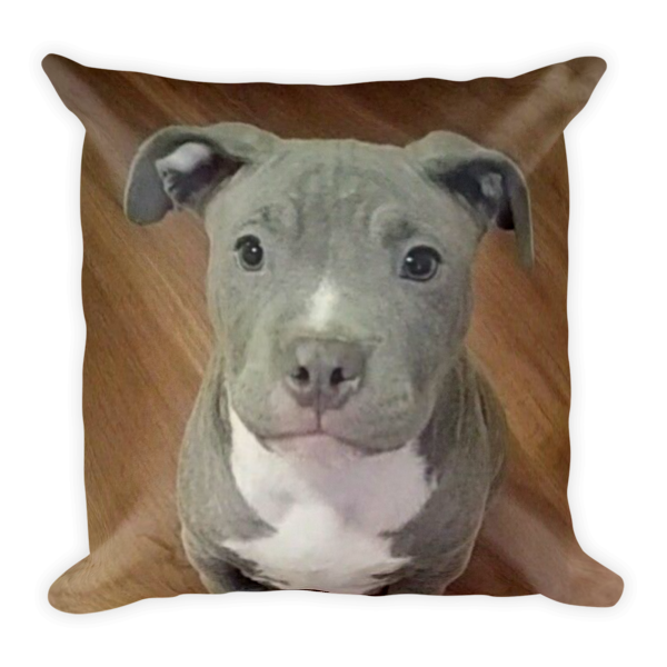 Pit Bull Puppy Pillow